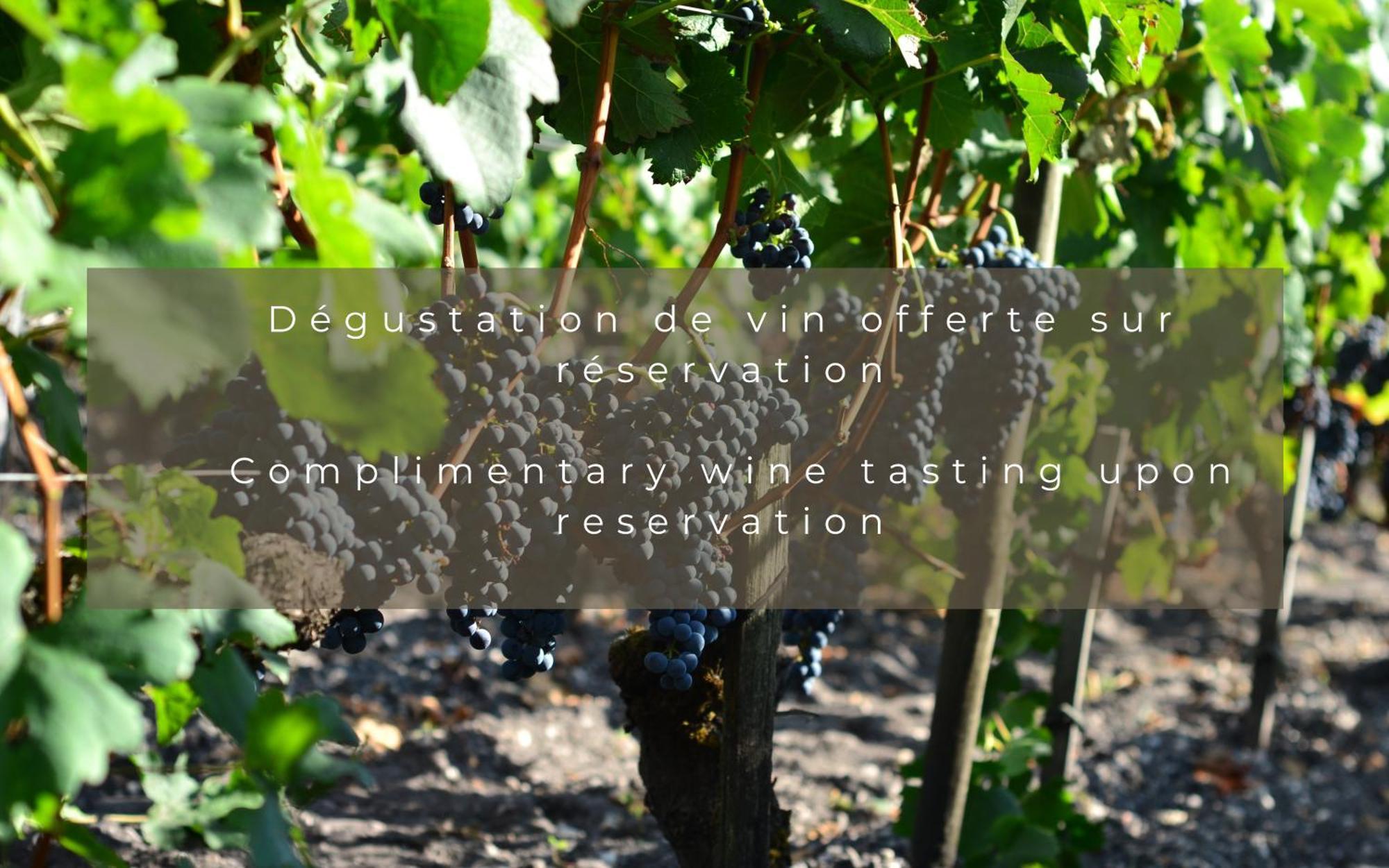 Chateau Leognan, Domaine Viticole - Proche Bordeaux Exteriör bild